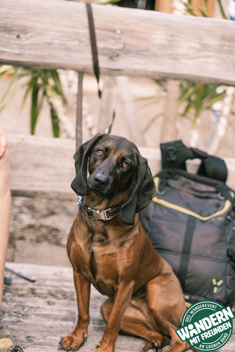 HEIMATALM_WANDERN_MIT_FREUNDEN_2025_FREITAG_LOGO_PHIL_WOLF_2025-88