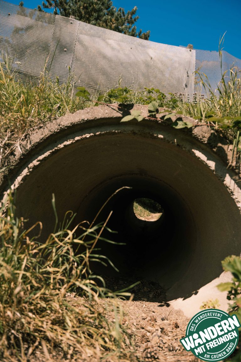 HEIMATALM_WANDERN_MIT_FREUNDEN_2025_SAMSTAG_LOGO_PHIL_WOLF_2025-101