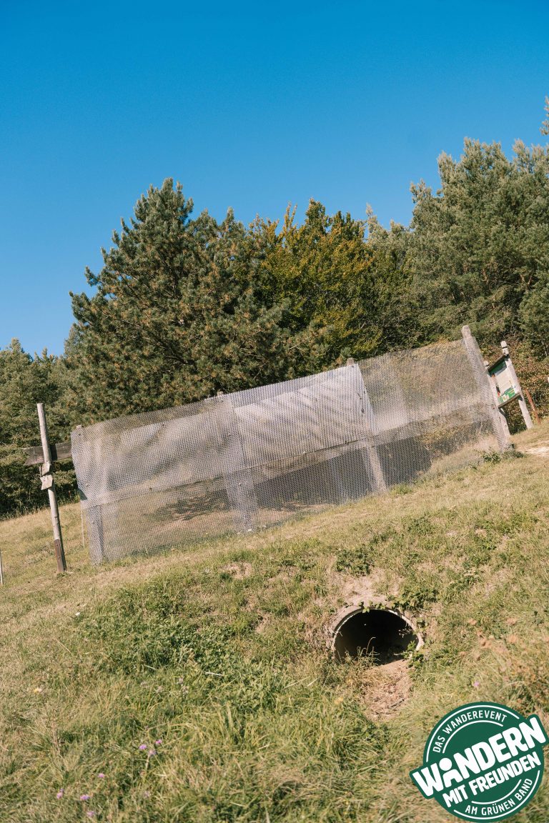 HEIMATALM_WANDERN_MIT_FREUNDEN_2025_SAMSTAG_LOGO_PHIL_WOLF_2025-102