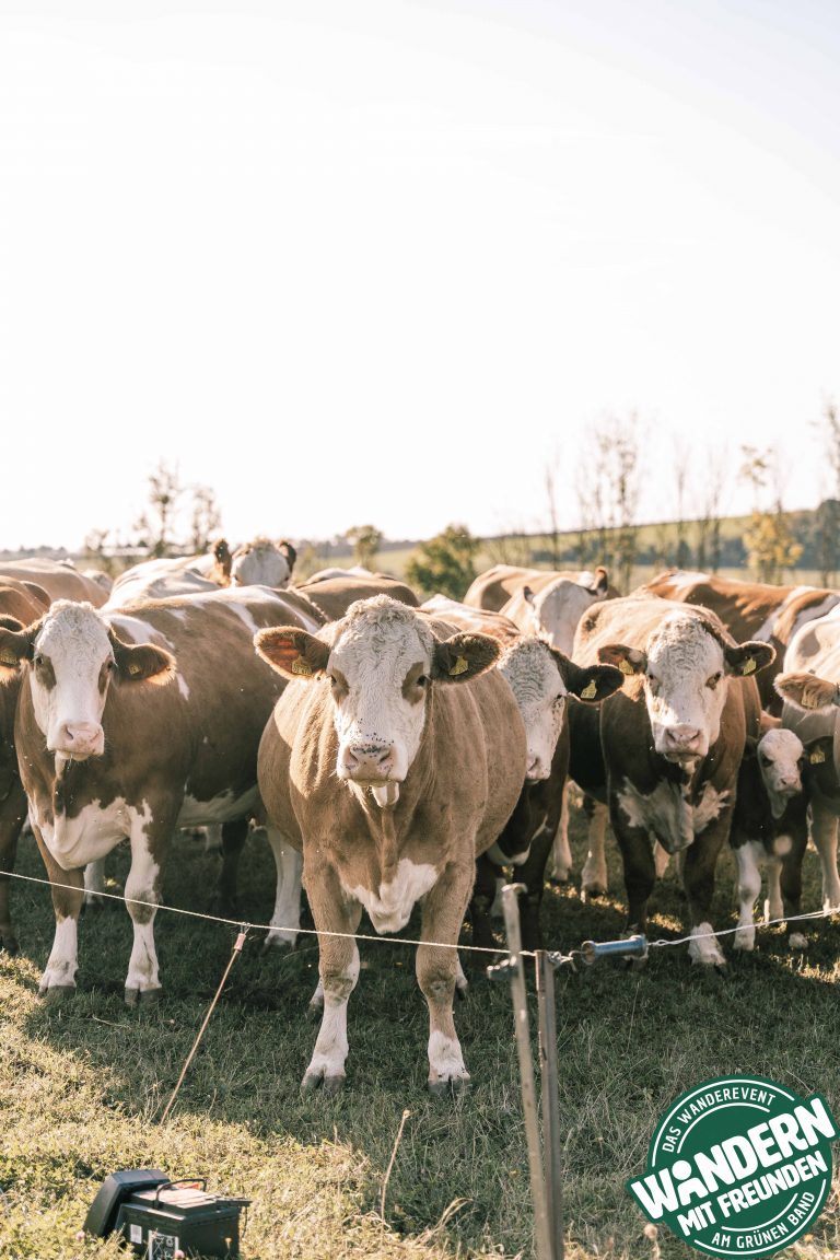 HEIMATALM_WANDERN_MIT_FREUNDEN_2025_SAMSTAG_LOGO_PHIL_WOLF_2025-41