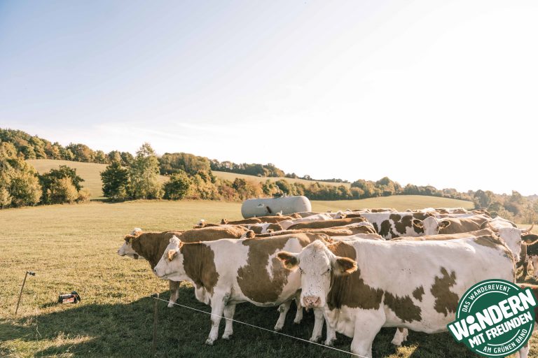 HEIMATALM_WANDERN_MIT_FREUNDEN_2025_SAMSTAG_LOGO_PHIL_WOLF_2025-43