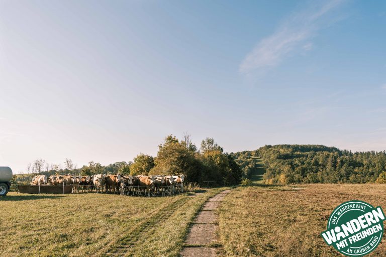 HEIMATALM_WANDERN_MIT_FREUNDEN_2025_SAMSTAG_LOGO_PHIL_WOLF_2025-44