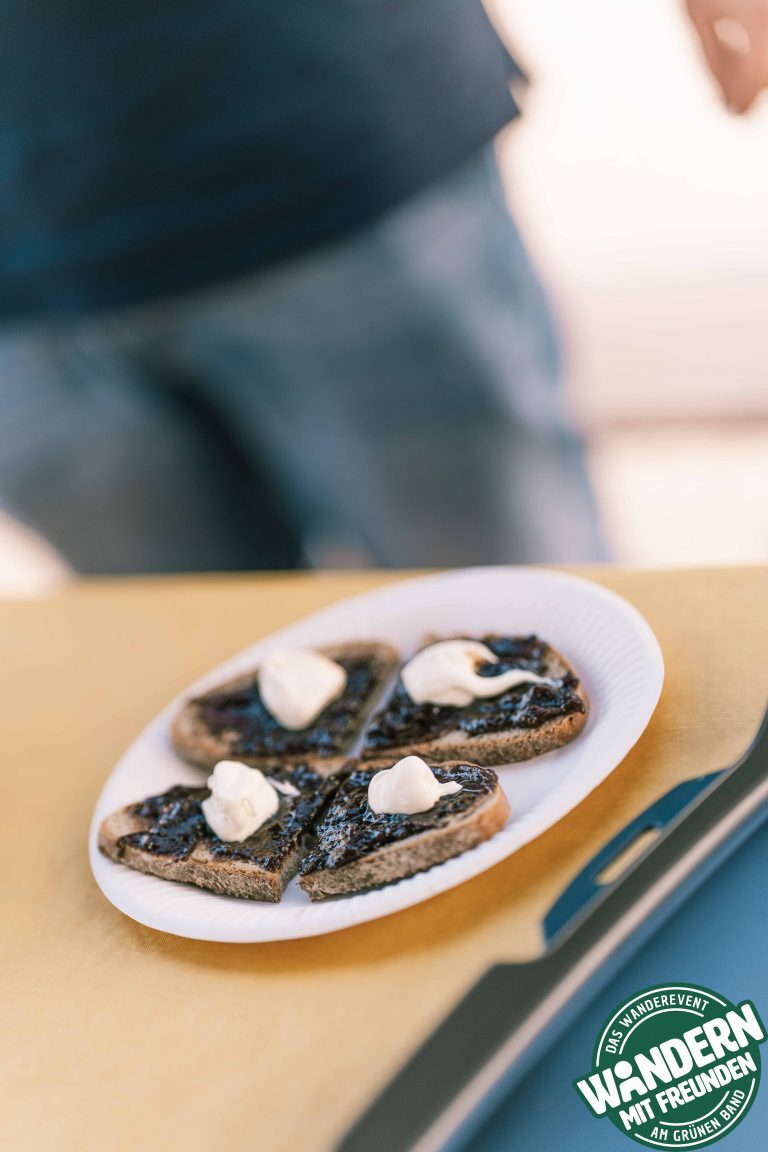 HEIMATALM_WANDERN_MIT_FREUNDEN_2025_SAMSTAG_LOGO_PHIL_WOLF_2025-86